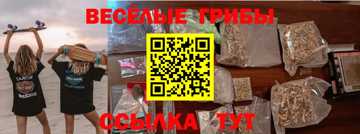 Гусь-Хрустальный  Галлюциногенные грибы MAGIC MUSHROOMS  Вход с VPN 
